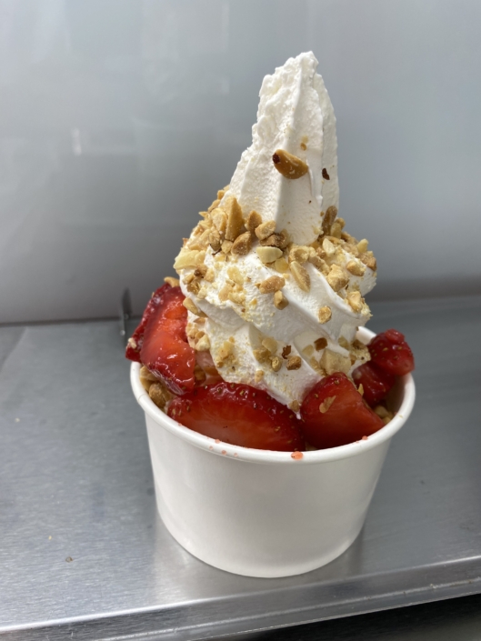 YoGo food truck-Ice cream-Fresh Fruits