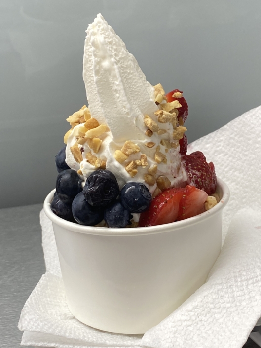 YoGo food truck-Ice cream-Fresh Fruits