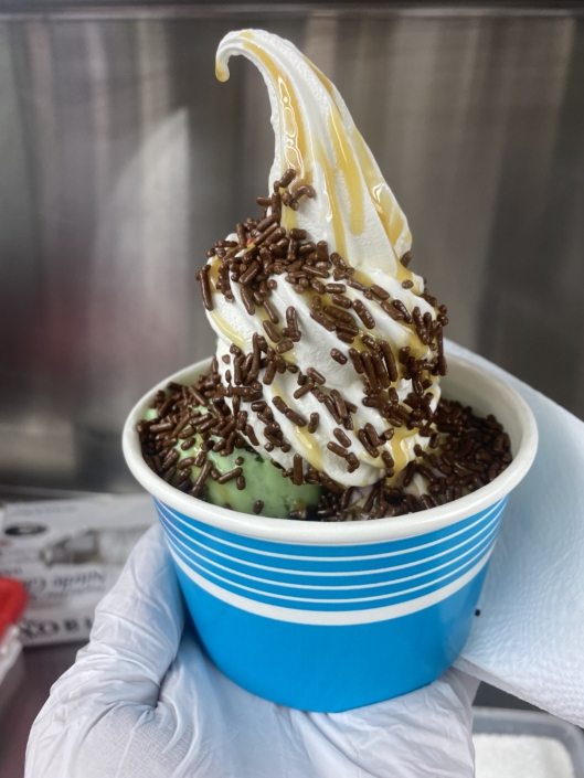 YoGo food truck-Ice cream-Fresh Fruits