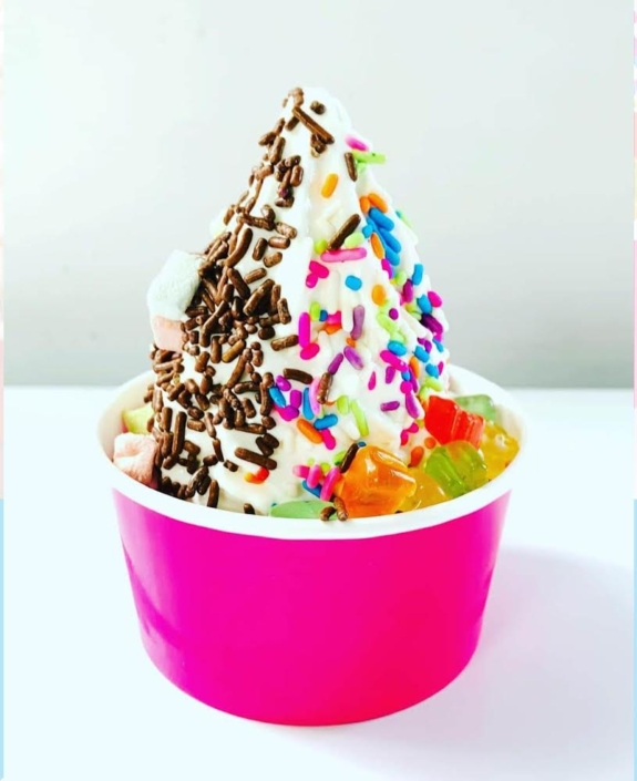 YoGo food truck-Ice cream-Fresh Fruits