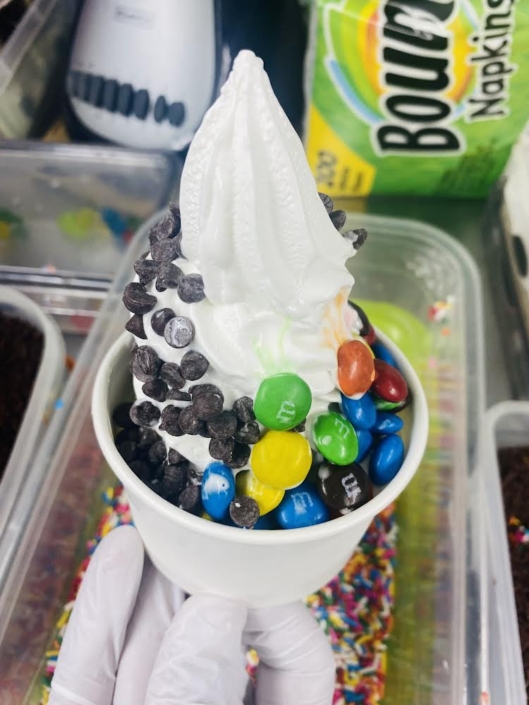 YoGo food truck-Ice cream-Fresh Fruits