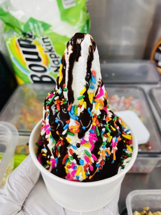 YoGo food truck-Ice cream-Fresh Fruits