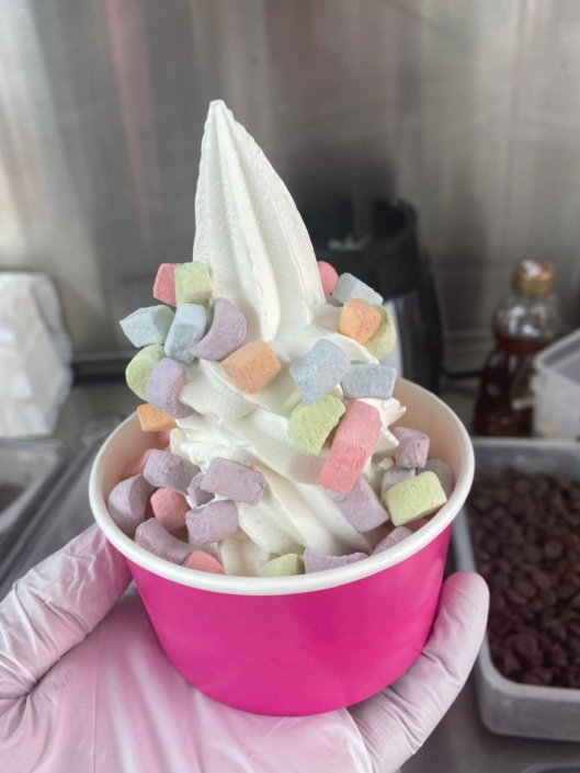 YoGo food truck-Ice cream-Fresh Fruits