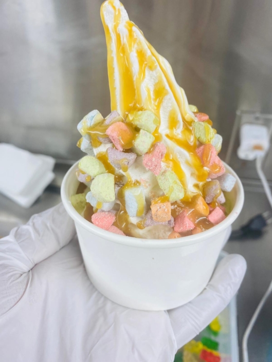 YoGo food truck-Ice cream-Fresh Fruits