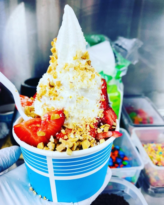 YoGo food truck-Ice cream-Fresh Fruits