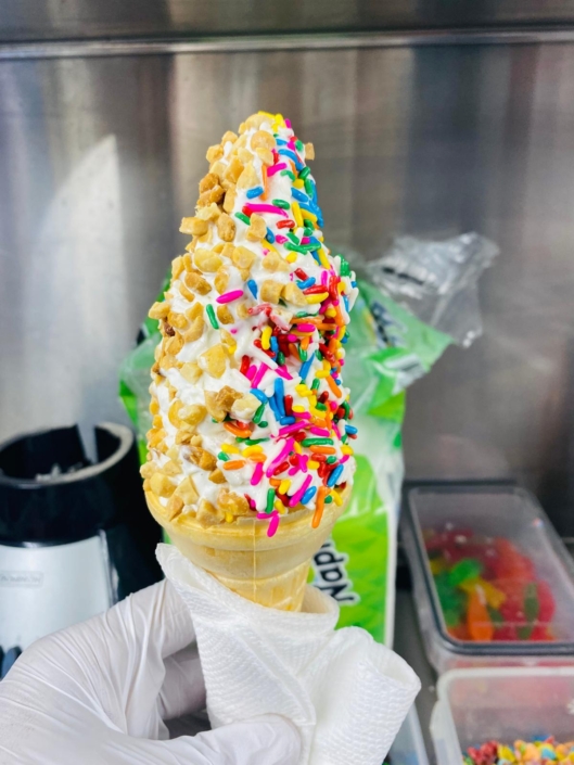 YoGo food truck-Ice cream-Fresh Fruits