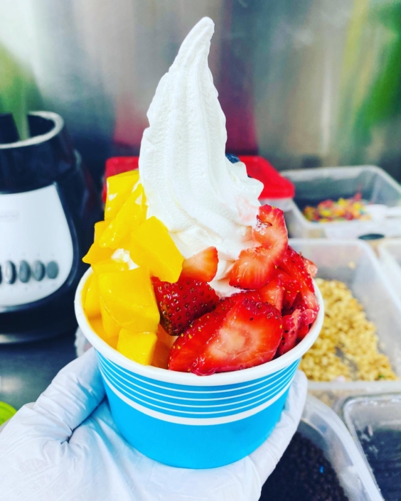 YoGo food truck-Ice cream-Fresh Fruits